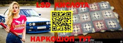 прущие грибы Бузулук