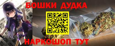 мдпв Будённовск