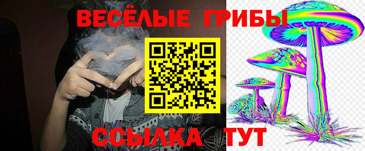 Галлюциногенные грибы прущие грибы  Псилоцибиновые грибы GOLDEN TEACHER  Холмск  Вход с VPN 